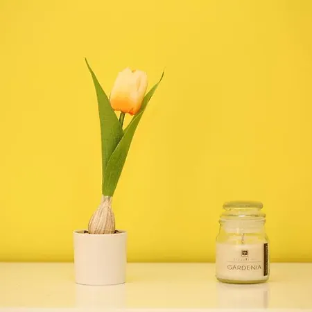 Brother's * Sorrento