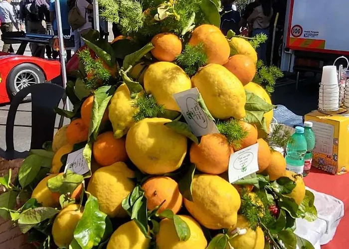 Brother's Apartamento